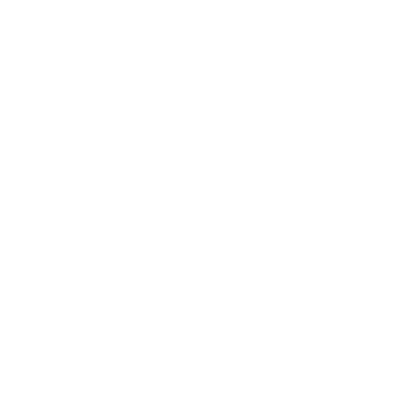 A41 logo